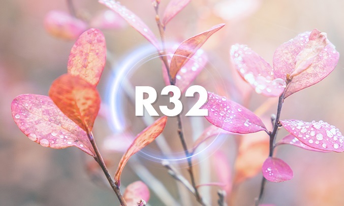 Máy lạnh LG Inverter 2 HP V18ENF1