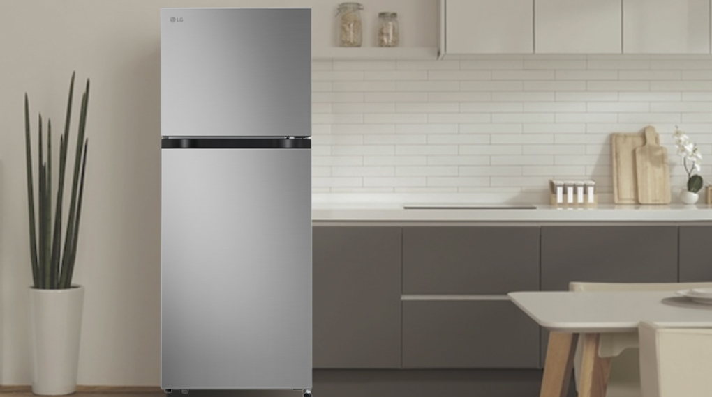 Tủ lạnh LG 217 lít LTB21SVMD - Thiết kế