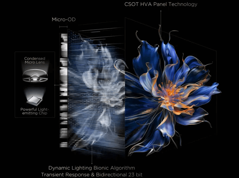 Tivi 55 inch TCL QD-MiniLED 55C6K ứng dụng công nghệ kiểm soát quần sáng toàn miền