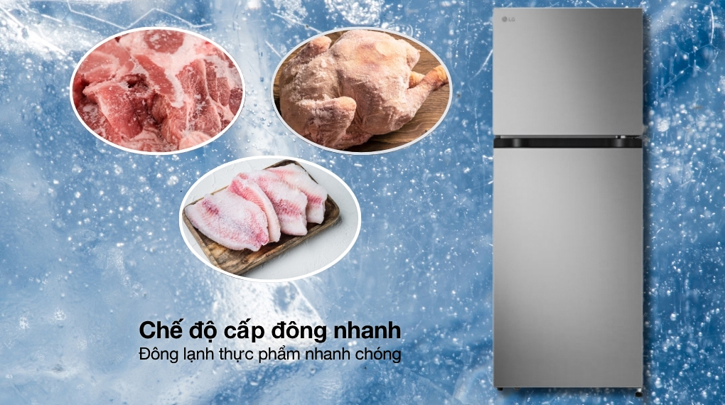 Tủ lạnh LG 217 lít LTB21SVMD - Tiện ích