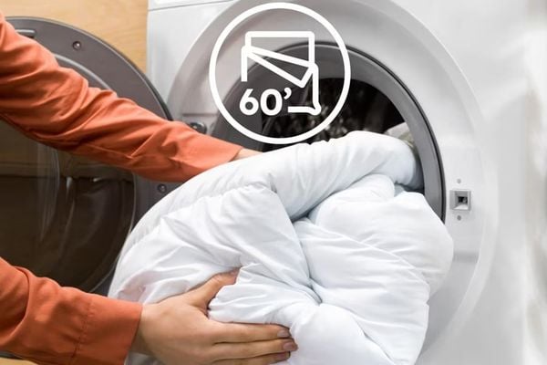 2ed7521d 46de 4987 b463 2807f046140e grande