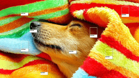 Tivi 4K 50 inch Samsung QA50Q8FAAKXXV được tích hợp nhiều công nghệ hình ảnh hiện đại Tivi 4K 50 inch Samsung QA50Q8FAAKXXV được tích hợp nhiều công nghệ hình ảnh hiện đại