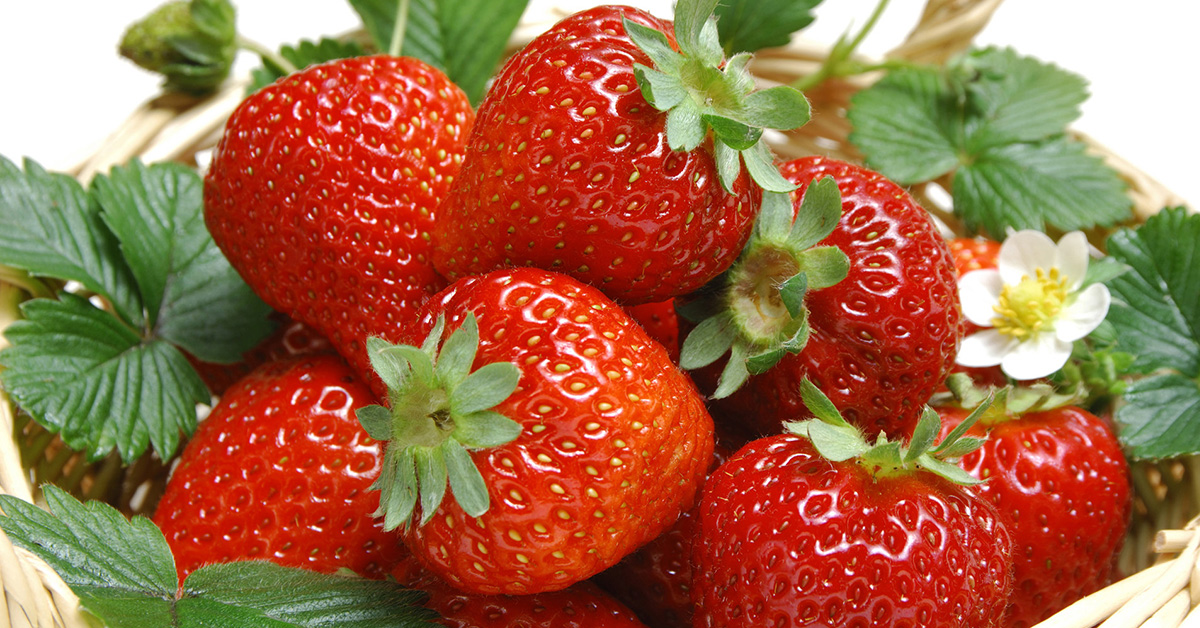 325871_tu_lanh_hitachi_rh230pgv7bbk-_230l-_inverter_mau_den_1-6 Tủ Lạnh Hitachi R-H230PGV7(BBK)- 230L Inverter