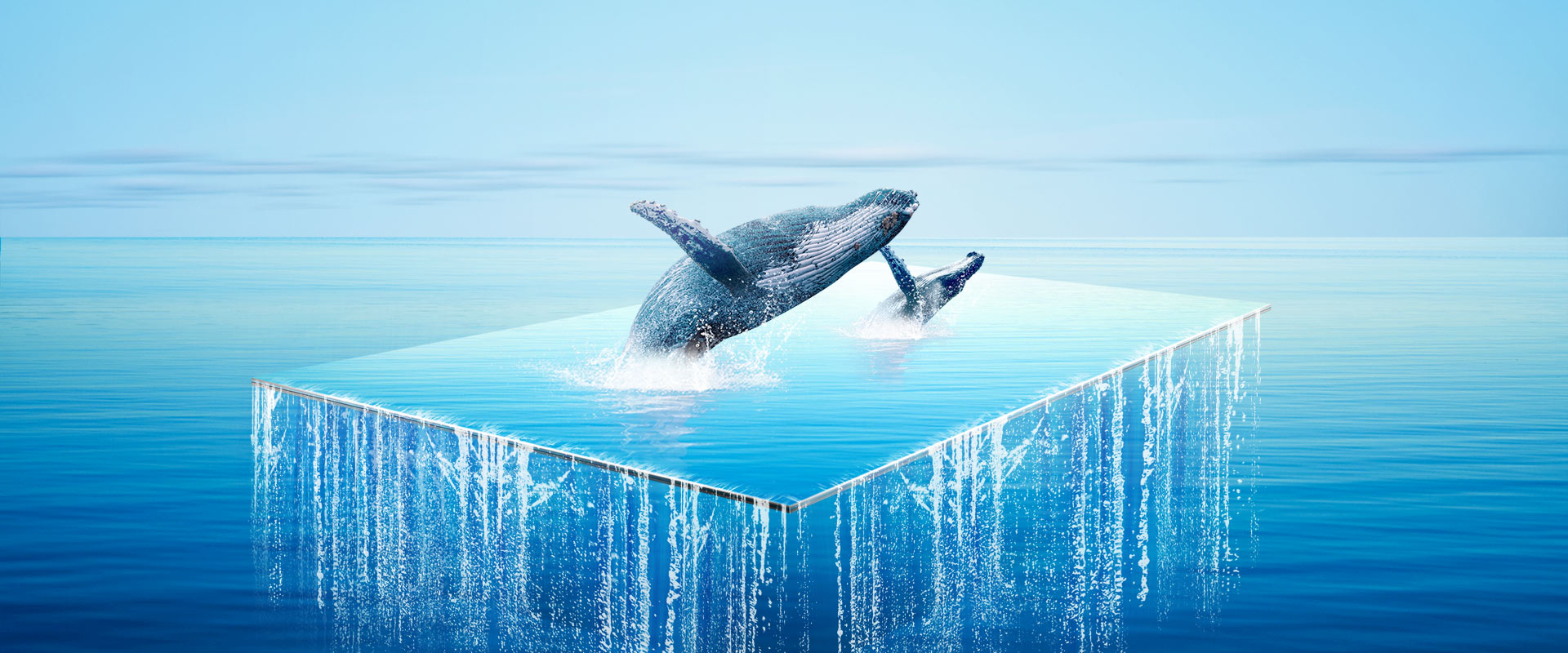 375153319cc5f514e2b1848ce1e7c430-3 Smart TV TCL Android 8.0 40 inch Full HD Wifi - 40L61