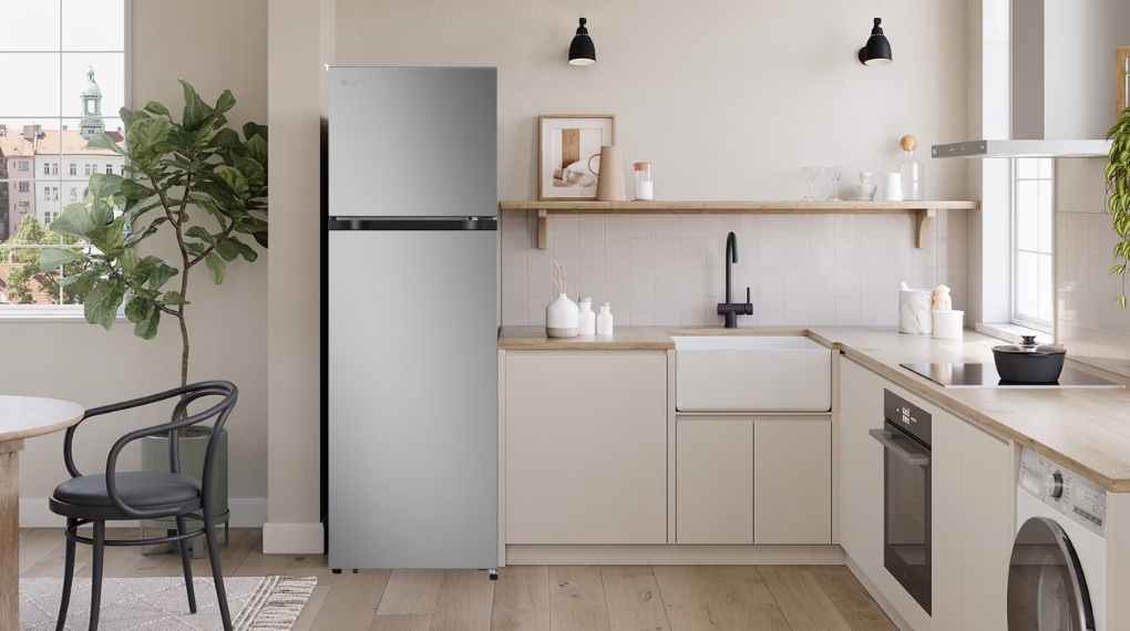 Tủ lạnh LG Inverter 266 lít LTB26SVM - Thiết kế