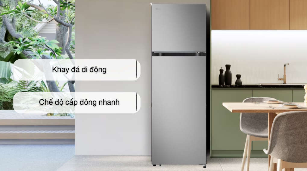 Tủ lạnh LG Inverter 266 lít LTB26SVM - Tiện ích