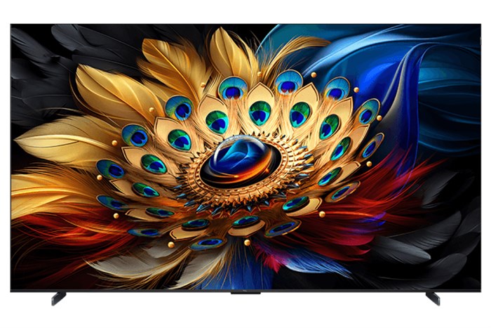 Google Tivi QLED TCL 4K 65 Inch 65C655