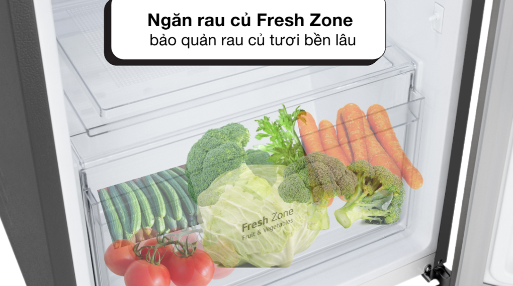Tủ lạnh LG 217 lít LTB21SVMD - Ngăn lạnh