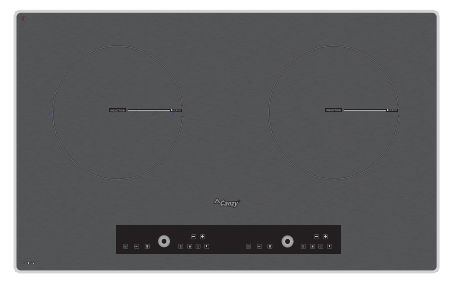 Bếp Từ Canzy CZ 288