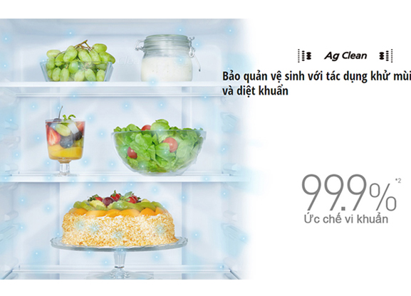 Tủ Lanh Inverter Panasonic 234 Lít NR-BL263PAVN