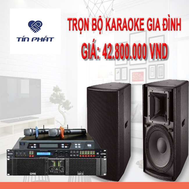 Dàn âm thanh karaoke dành cho gia đình ( combo 3 )
