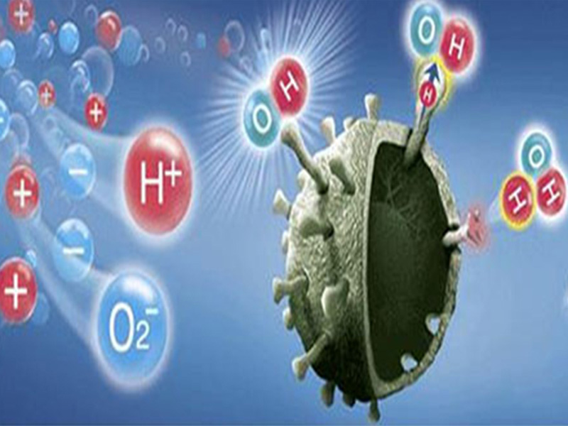 dw d20a w bai viet 2