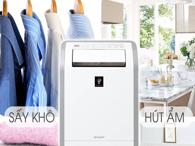 dw d20a w bai viet 4