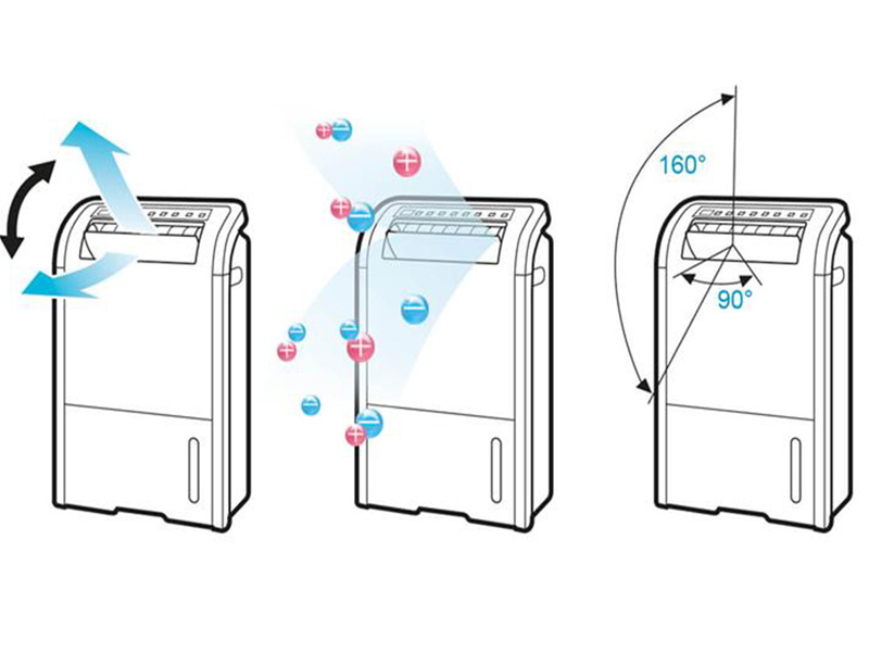 dw d20a w bai viet 5