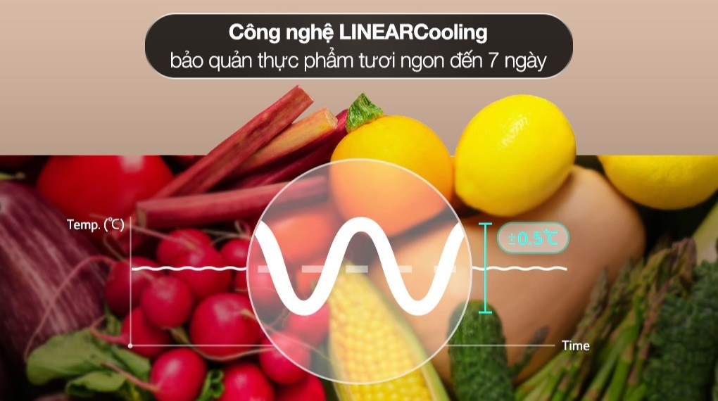 Tủ lạnh LG Inverter 266 lít LTB26SVM - Công nghệ làm lạnh - Công nghệ bảo quản thực phẩm