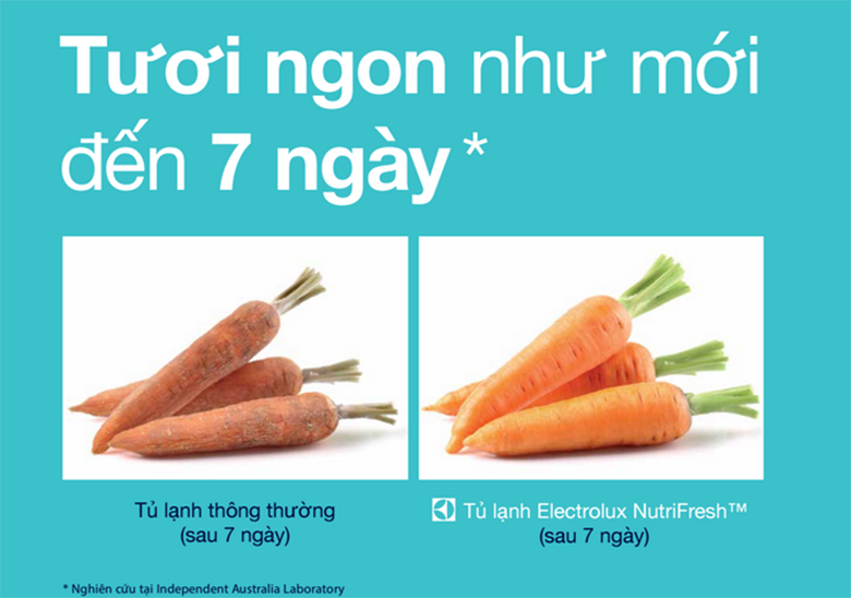 eme2600mg-5 eme2600mg 5