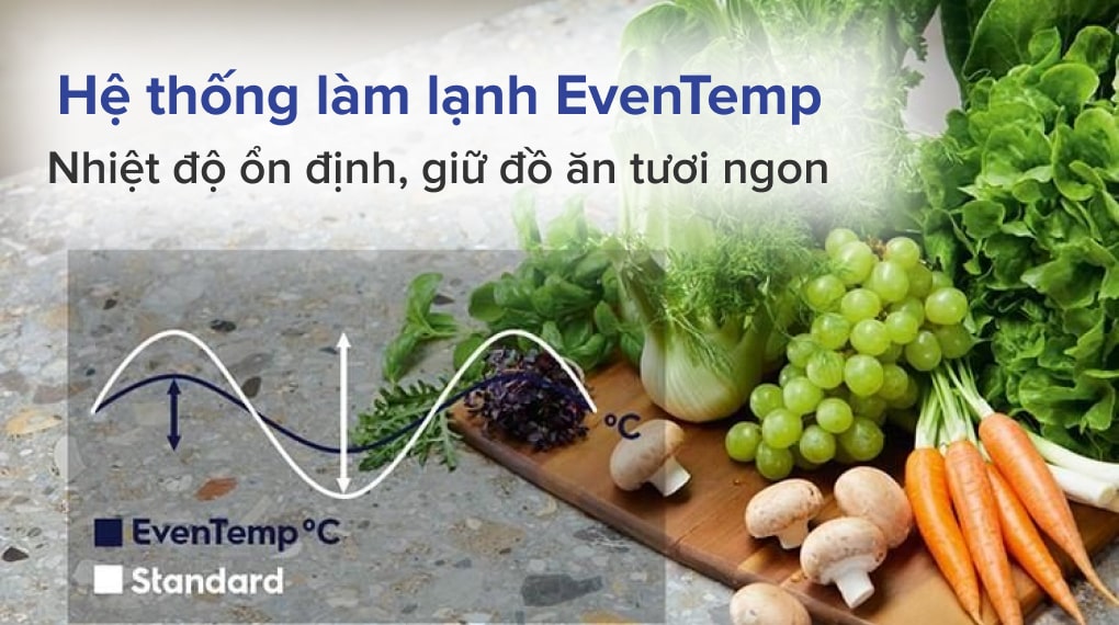 ese6645a-4 ese6645a 4