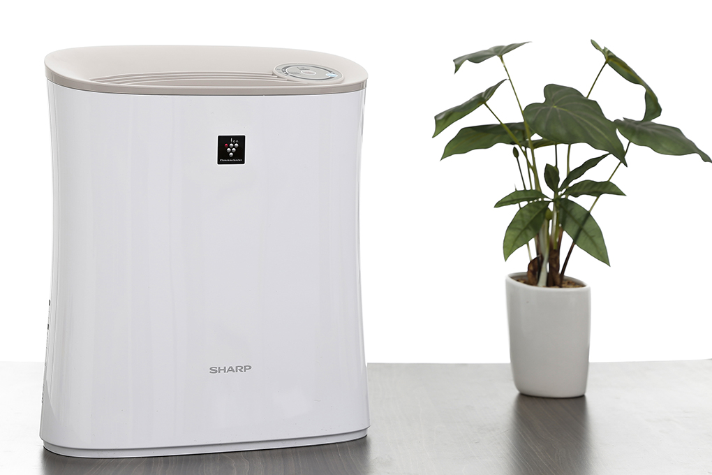 fp-f30e-c-bai-viet-2 fp f30e c bai viet 2