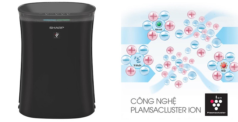 fp gm50e b bai viet 6