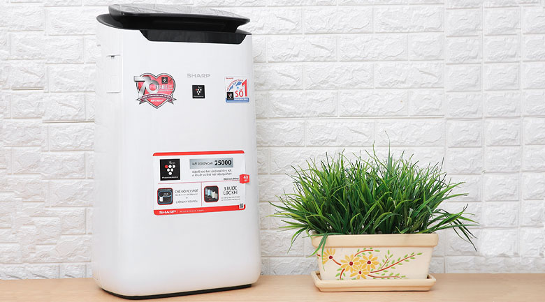 fp-j60e-w-dai-dien-2 fp j60e w dai dien 2