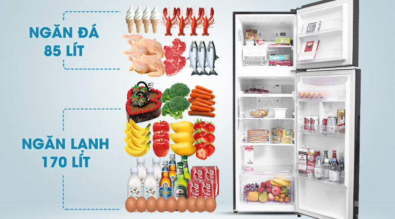 gn-l255pn-4 gn l255pn 4