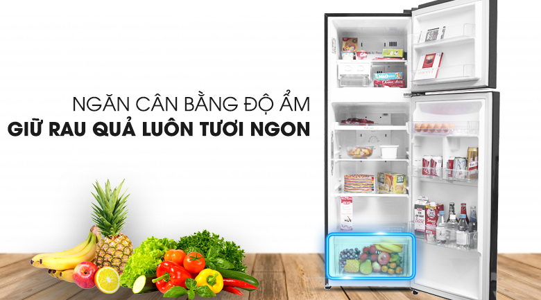 gn-l255pn-9 gn l255pn 9