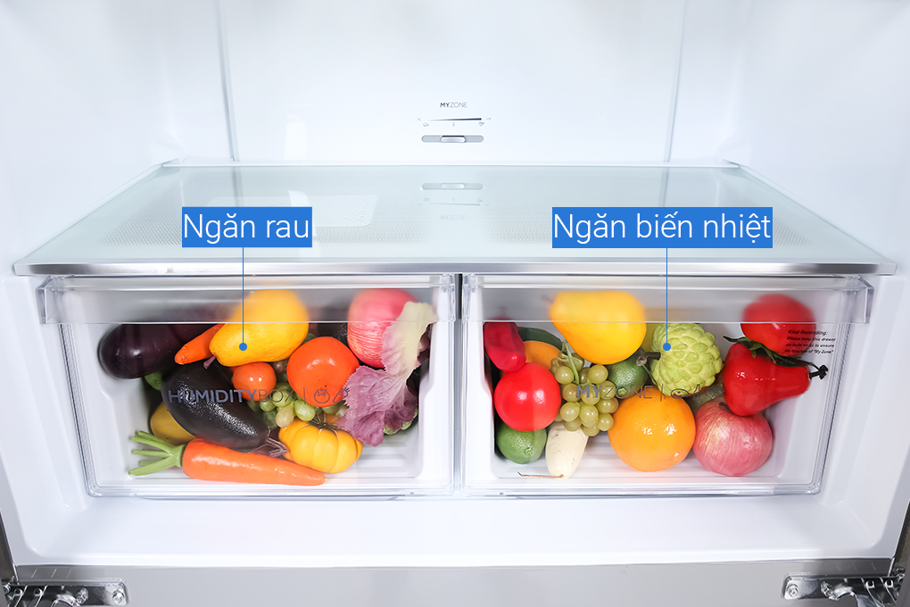 ig636fm-19 ig636fm 19