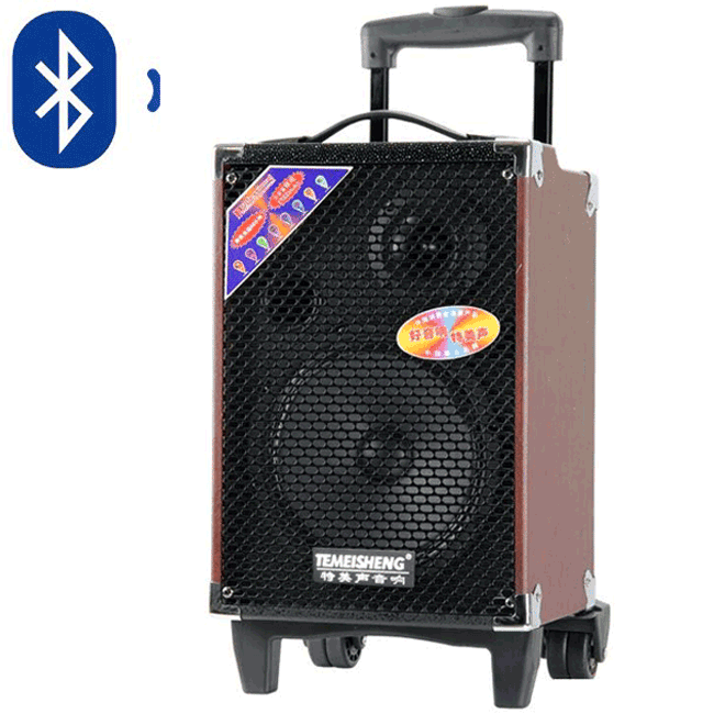 Loa Kéo Temeisheng Q10S