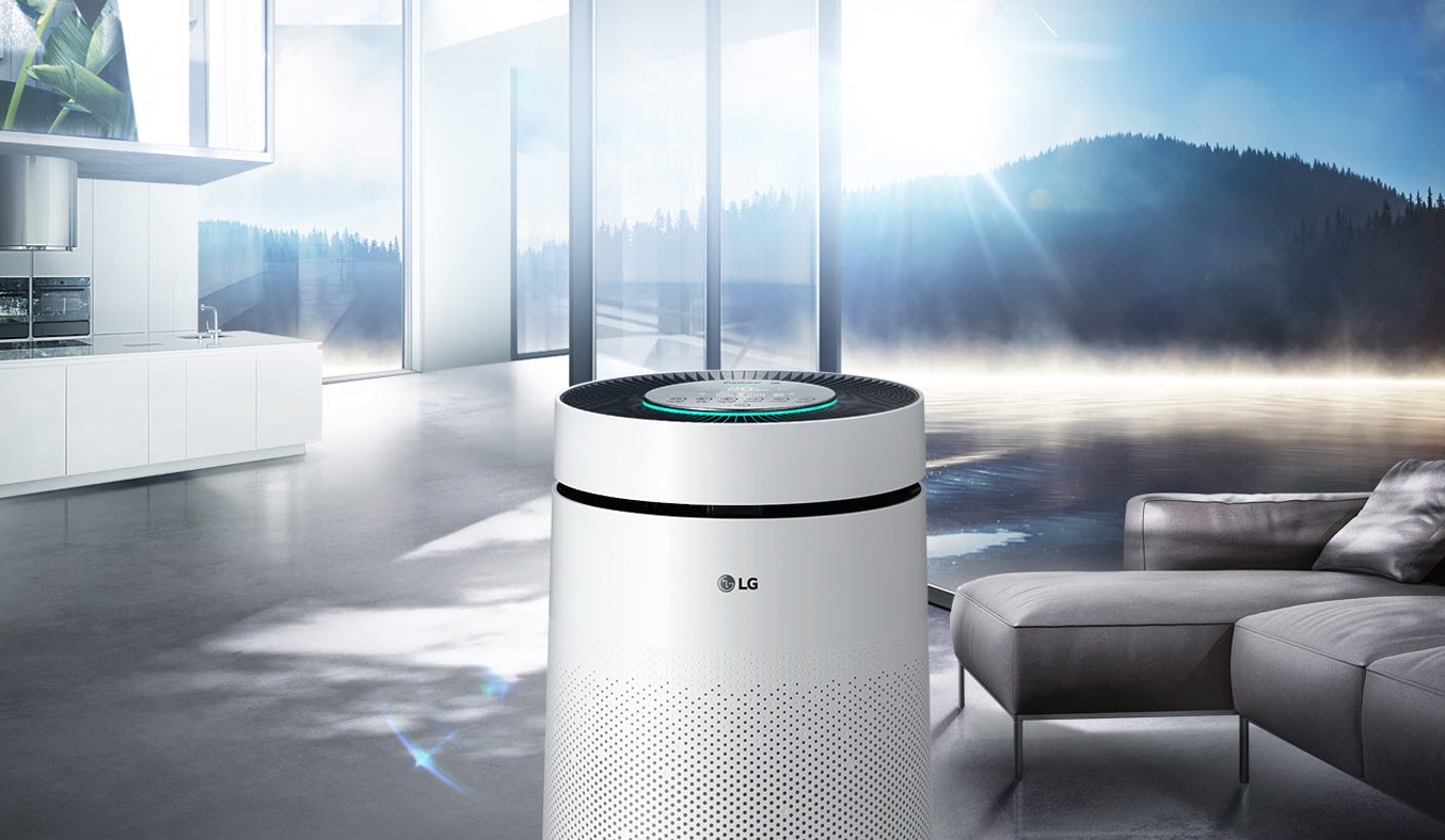Máy lọc không khí LG AS65GDWD0