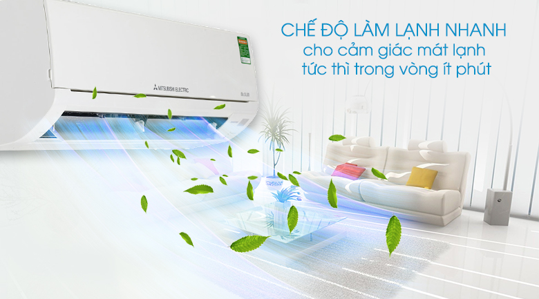 msz hl35va bai viet 5