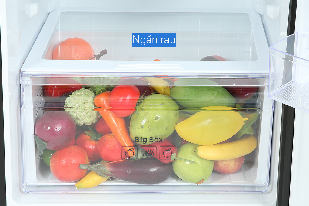 rt29k503jb-14 rt29k503jb 14