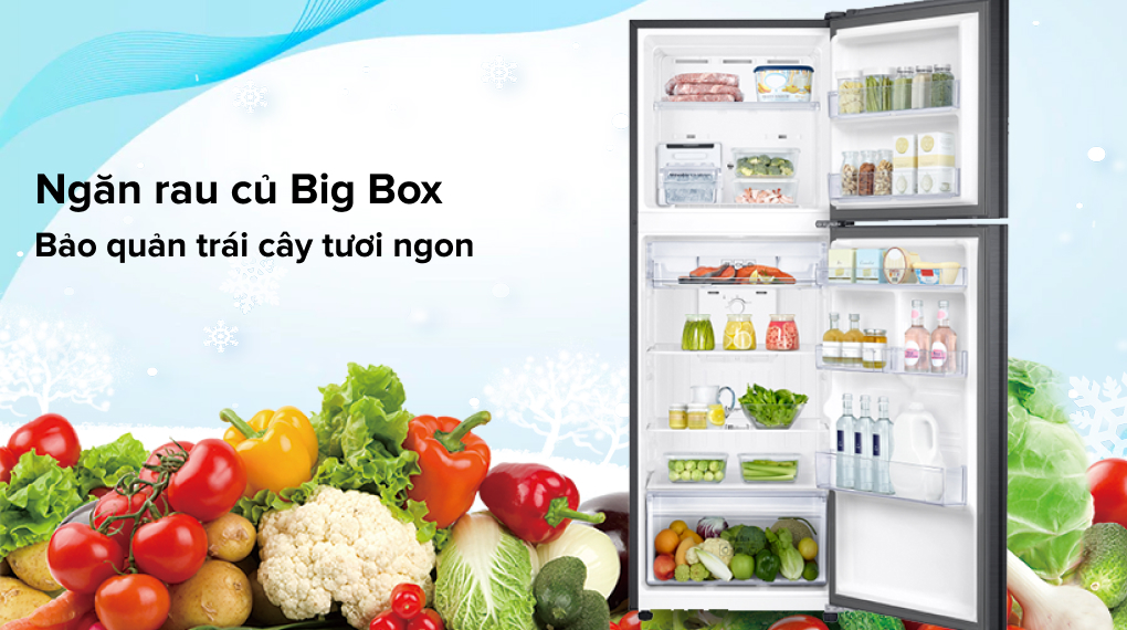 rt29k503jb-3 rt29k503jb 3