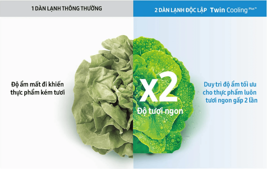 rt29k5532busv-2 Tủ lạnh Samsung Inverter 300L RT29K5532BU/SV