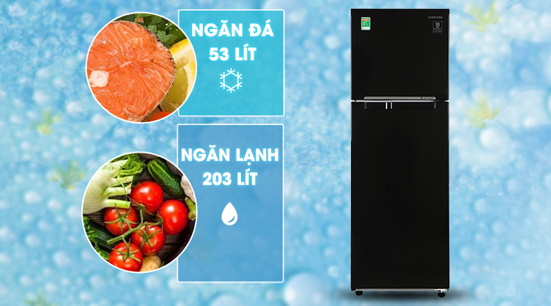 samsung-rt25m4032bu-sv-9 samsung rt25m4032bu sv 9