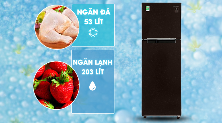 samsung-rt25m4032by-sv-7 samsung rt25m4032by sv 7