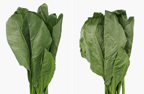 Tủ lạnh Hitachi Inverter 590 lít R-M800PGV0(GBK)