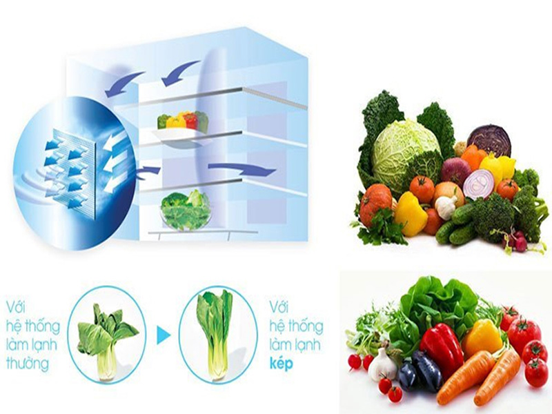 sj-fx630v-be-bai-viet-6 sj fx630v be bai viet 6