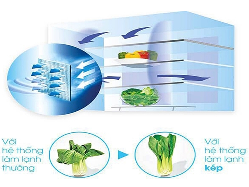 sj-fx688vg-br-bai-viet-5 sj fx688vg br bai viet 5