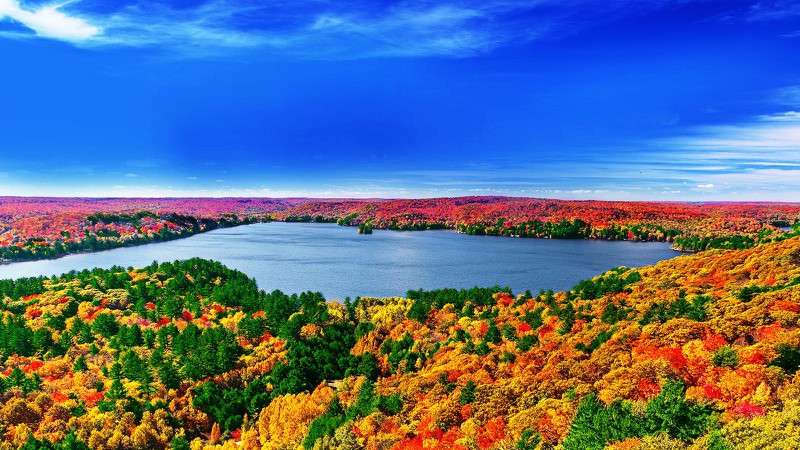 smart-tivi-lg-75-inch-4k-75um6970ptb-4 smart tivi lg 75 inch 4k 75um6970ptb 4