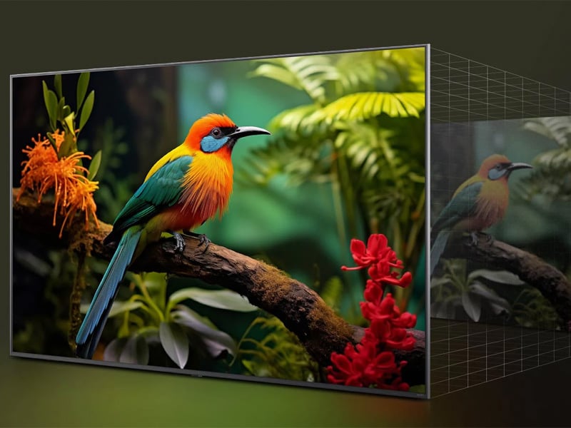 Tivi NanoCell LG 4K 65NANO80ASA cho hình ảnh sắc nét trung thực Tivi NanoCell LG 4K 65NANO80ASA