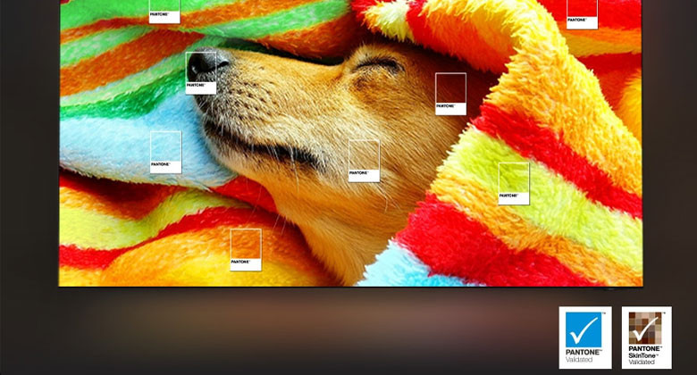 smart-tivi-samsung-43q8fa-4k-43-inch-qled-10-org Tivi Samsung 43 inch 2025 - Bảo chứng màu sắc nguyên bản từ PANTONE