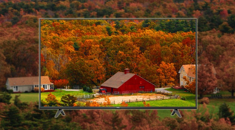 tcl-5 Android Tivi TCL 43 inch L43S5200