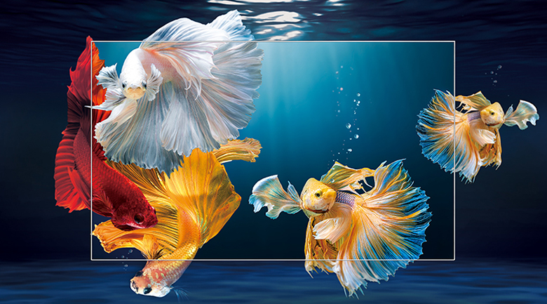 tcl-l43p715-note-4 Android Tivi TCL 43 inch 43P715