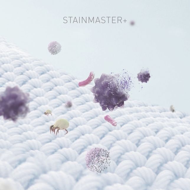 StainMaster là công nghệ tiên tiến sử dụng hơi nước nóng