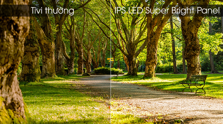 tivi panasonic 43fx550v 5