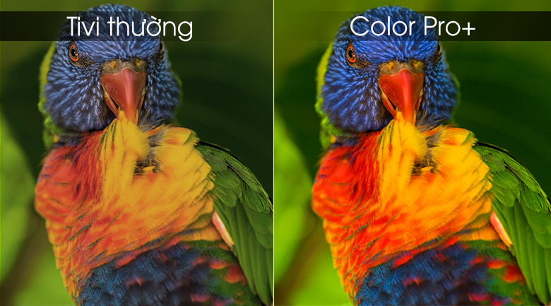 tivi-panasonic-49fx550v-4 tivi panasonic 49fx550v 4