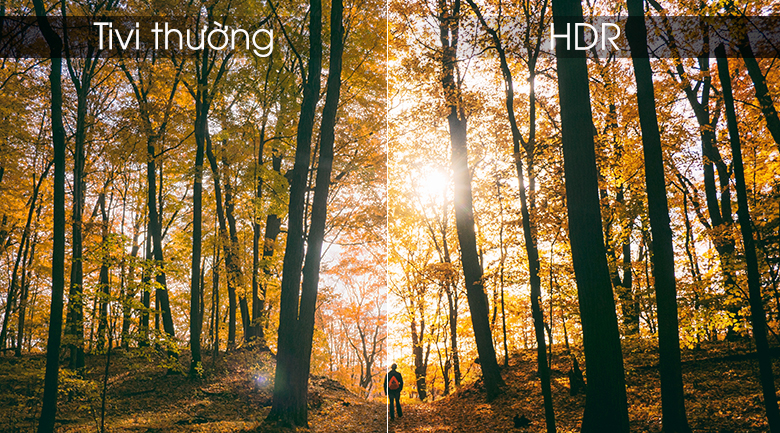 tivi panasonic 55fx650v 5 2