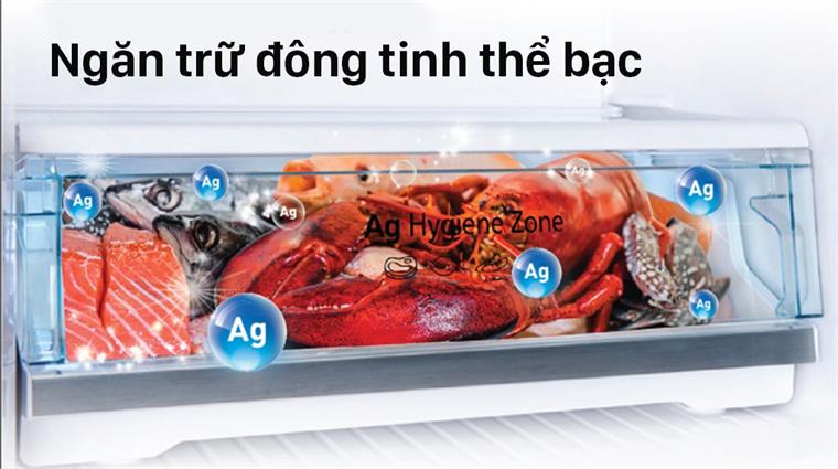 tl381bpkv-3 tl381bpkv 3