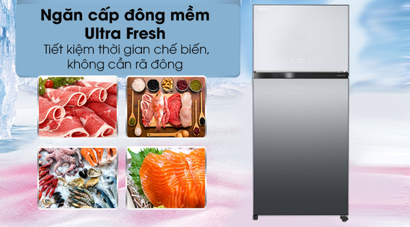 toshiba gr ag66va x 1