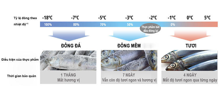 tu lanh 4 canh inverter panasonic nrdz600gxvn 550 lit 9